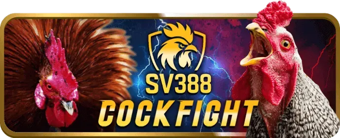Cá cược bóng rổ tina68