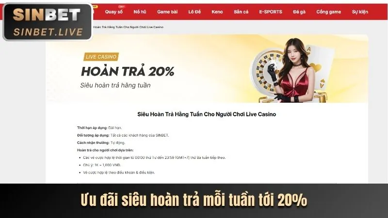 Thông báo khuyến mãi độc quyền trên ứng dụng Tina68
